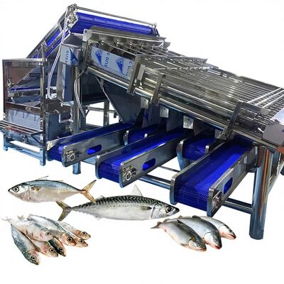 Giá tốt. Máy phân loại cá lăn chống nước Máy phân loại cá cá có dung lượng lớn Thiết bị phân loại cá cho nhà máy cá trực tuyến