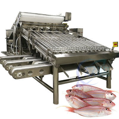 Giá tốt. Máy phân loại cá công suất cao Máy phân loại cá lăn 4,9KW 2 T / H Máy phân loại cá biển Đường phân loại cá Zolim Thiết bị phân loại cá trực tuyến