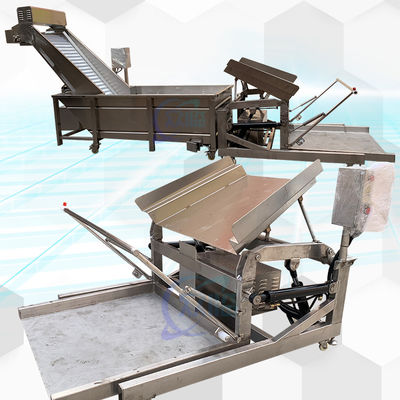 SUS304 Thiết bị xử lý cá thực tế chống ăn mòn ổn định