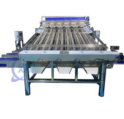4900W SUS304 Máy phân loại tôm, Máy phân loại rửa tôm bền