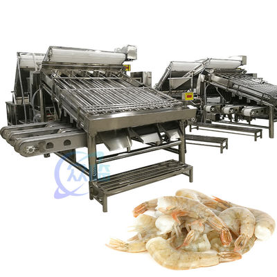 Máy phân loại tôm công nghiệp chống ăn mòn đa dụng