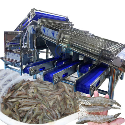 Giá tốt. Máy phân loại tôm công nghiệp Multiscene Kiểm soát nước tự động trực tuyến