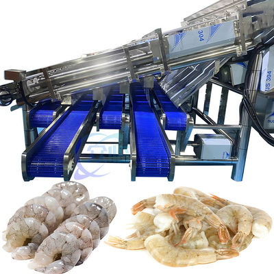 Giá tốt. Thiết bị phân loại tôm thép không gỉ ổn định chống xói mòn trực tuyến