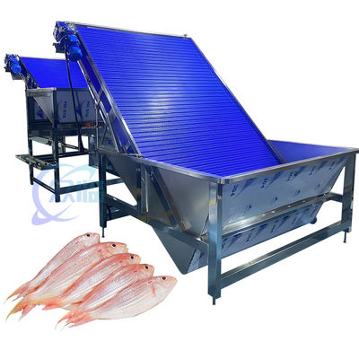 Máy phân loại tôm chống ăn mòn Multiscene thực tế 4.9KW