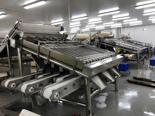 Giá tốt. Máy phân loại tôm bền 3P, Thiết bị phân loại tôm chống xói mòn trực tuyến