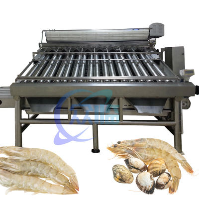 Giá tốt. Máy phân loại tôm 380V 50Hz đa chức năng cho kích thước tôm trực tuyến