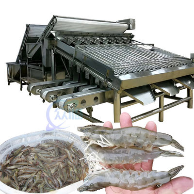 Máy phân loại tôm cá 1500KG đa dụng cho công nghiệp
