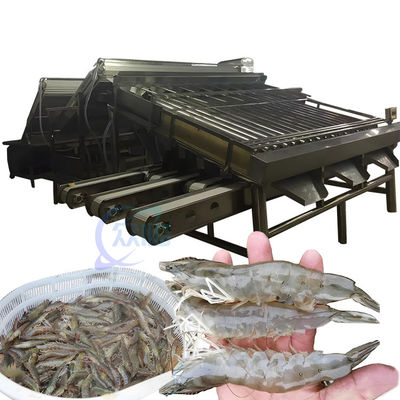 Giá tốt. Máy phân loại tôm đa chức năng Thép không gỉ bền trực tuyến