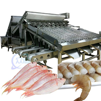 Máy phân loại thủy sản ISO 1500KG, Máy phân loại kích thước cá đa chức năng