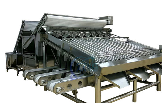 Máy phân loại tôm cuộn Vật liệu thép không gỉ đa dụng