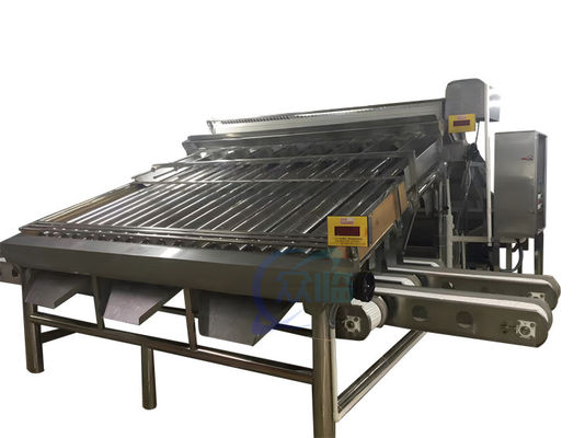 Giá tốt. Máy phân loại tôm bền 4.9KW Tự động cho kích thước tôm trực tuyến