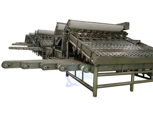 Máy phân loại hải sản 380V 50Hz Máy phân loại tôm đa cảnh