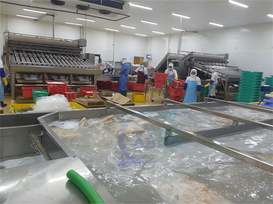 Giá tốt. ISO Công nghiệp chế biến cá tự động, nhà máy chế biến hải sản đa chức năng trực tuyến