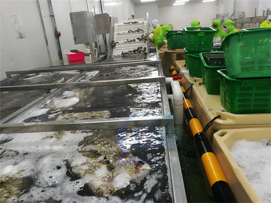 Giá tốt. SUS304 Máy chế biến cá ổn định chống nước để làm sạch tôm trực tuyến