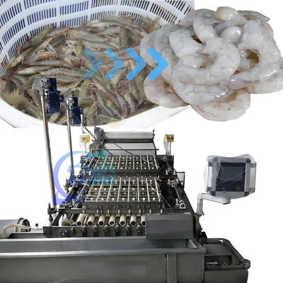 SUS304 PLC Shrimp máy da đa dụng 3600x2260x2200mm