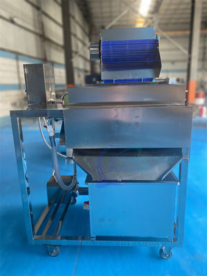 Giá tốt. Thiết bị nhà máy chế biến cá ổn định 1500W, Bộ tách râu công nghiệp trực tuyến