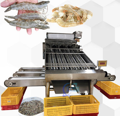 Thiết bị phân loại tôm thực tế chống ăn mòn đa cảnh
