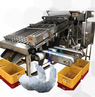 Giá tốt. Máy phân loại tôm chế biến thủy sản 6000x3200x2200mm ổn định trực tuyến