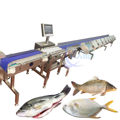 Máy phân loại trọng lượng cá hoàn toàn tự động Máy vận chuyển thực phẩm cân