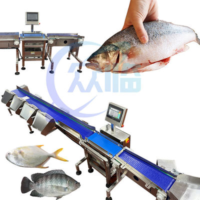 Giá tốt. Máy đo cá thương mại Đường cân đơn 1g-3g Pangasius Grading trực tuyến