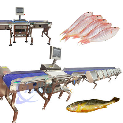 Giá tốt. Máy phân loại cá sống chính xác cao Thiết bị phân loại cá sống Ti-la-pia trực tuyến