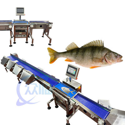 Giá tốt. 121pcs/min Fish Weight Grader Máy cân và phân loại cá cho môi trường nước trực tuyến