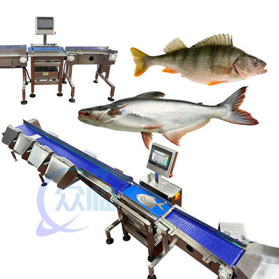 62m/min Đặc biệt đánh giá trọng lượng cá Máy sắp xếp trọng lượng cá trực tiếp