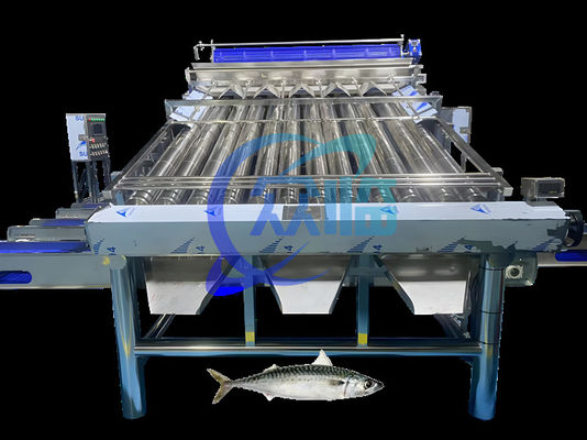 Giá tốt. Máy phân loại cá mập công suất lớn Máy phân loại cá mập 4,9KW trực tuyến