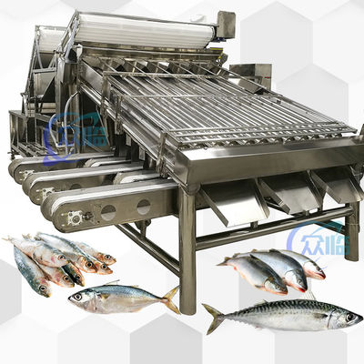 Giá tốt. Máy phân loại Saury tốc độ cao Saury Roller Grader 5 người vận hành trực tuyến