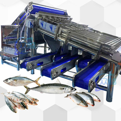 Máy phân loại cá công suất cao Máy phân loại cuộn cá 4,9KW 2 -8T / H