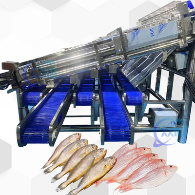 Giá tốt. 18pcs cuộn SS304 Máy phân loại cá nhỏ trực tuyến
