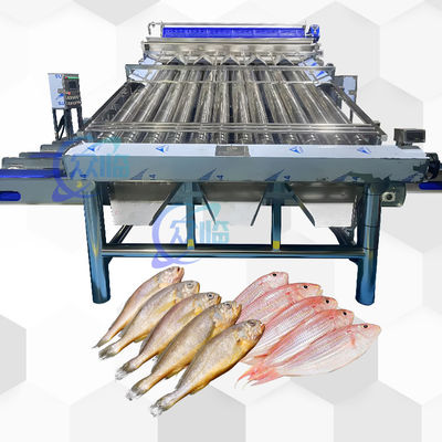 Giá tốt. Máy phân loại cá tự động với 12 con lăn Máy phân loại cá tự động cho 4-5 kích cỡ trực tuyến