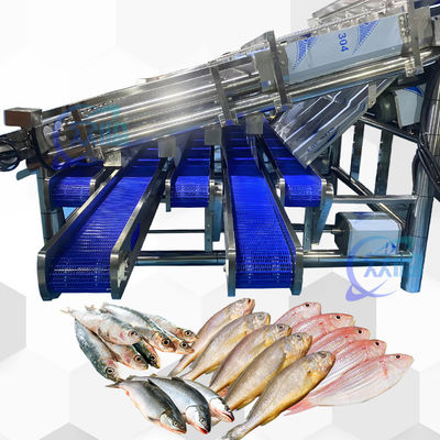 Giá tốt. Máy phân loại cá pelagic ổn định cao hiệu quả Máy phân loại cá pelagic trực tuyến
