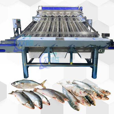 Giá tốt. Máy phân loại nhựa Conveyor Saury Máy phân loại Croaker vàng trực tuyến