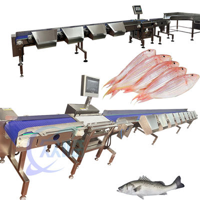 Máy phân loại cá pelagic Máy phân loại trọng lượng cá pelagic 120-150pcs/min