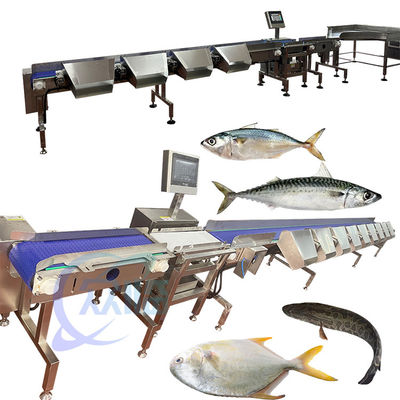 Giá tốt. Giá tốt Tilapia Grader Tilapia Sorter Tilapia Sizter Tilapia phân loại từ Trung Quốc trực tuyến