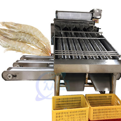 Giá tốt. Thiết bị chế biến thủy sản tôm Máy lựa chọn thông số kỹ thuật tôm cá inox 304 trực tuyến