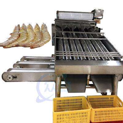 Thiết bị chế biến hải sản máy phân loại rửa tôm Dây chuyền sản xuất tôm máy phân loại rửa tôm