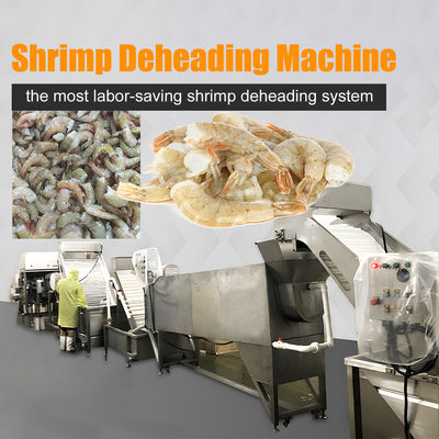 Dòng sản xuất hệ thống cắt đầu tôm tự động