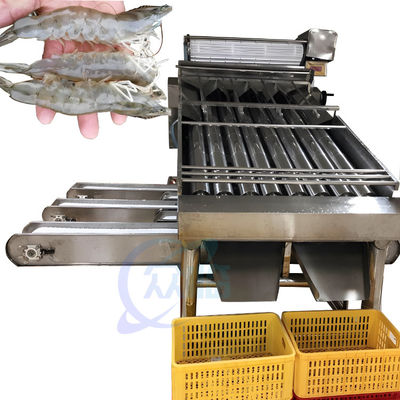 Giá tốt. Thiết bị chế biến thủy sản Máy phân loại rửa tôm Máy phân loại tôm tự động để bóc vỏ tôm trực tuyến