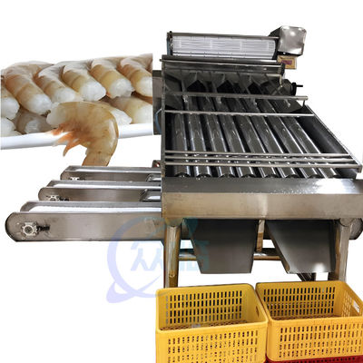 Máy phân loại nhanh và quy định kích cỡ Tôm nuôi máy phân loại tôm