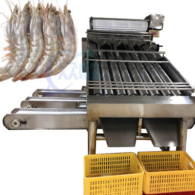 Giá tốt. Máy làm sạch và phân loại tôm Máy phân loại tôm tự động Máy phân loại tôm tùy chỉnh theo nhu cầu trực tuyến