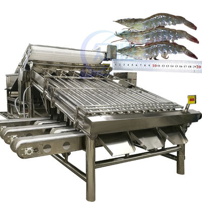 Máy phân loại tôm tự động máy phân loại tôm tươi rửa tôm lăn máy phân loại