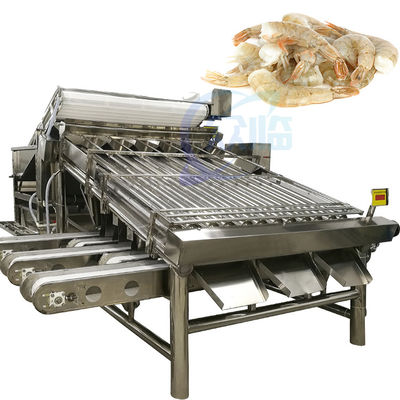 Giá tốt. Thiết bị chế biến hải sản Máy phân loại tôm Máy phân loại tự động kích thước tôm trực tuyến