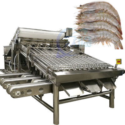 Máy phân loại tôm tự động cho tôm vỏ tôm tươi tôm giặt máy phân loại cuộn tôm