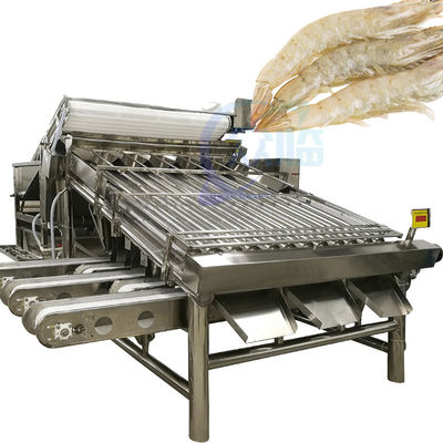 Máy phân loại và phân loại tôm hùm Máy phân loại tôm