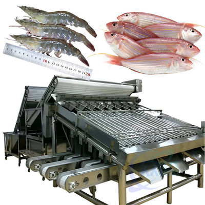 Máy phân loại tôm tự động cho tôm vỏ tôm tươi tôm giặt máy phân loại cuộn tôm