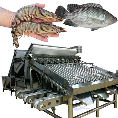 Máy phân loại tôm tự động cho tôm vỏ tôm tươi tôm giặt máy phân loại cuộn tôm