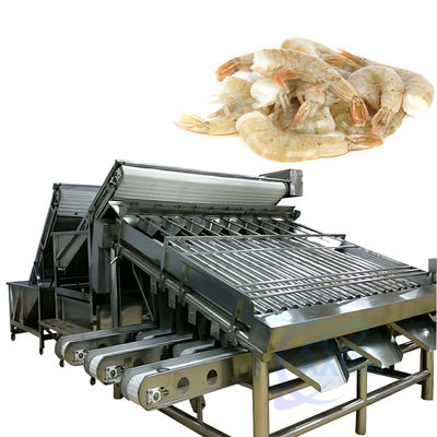 Máy chế biến và phân loại tôm bằng thép không gỉ Máy phân loại hải sản