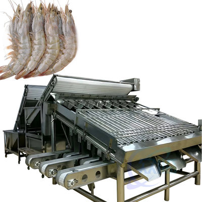 Giá tốt. Đường dây sản xuất máy làm sạch tôm và cá tích hợp Máy phân loại tôm trống lớn tùy chỉnh trực tuyến